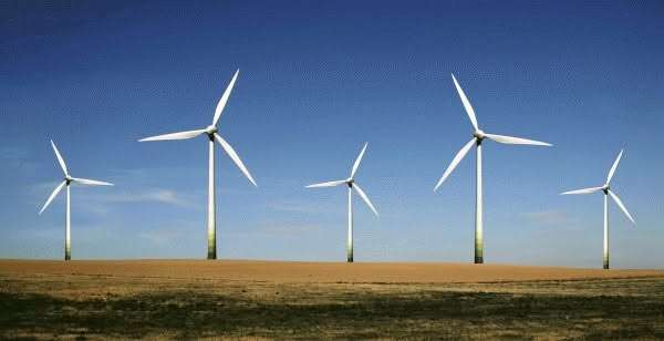 Wind turbines in a field under a blue sky